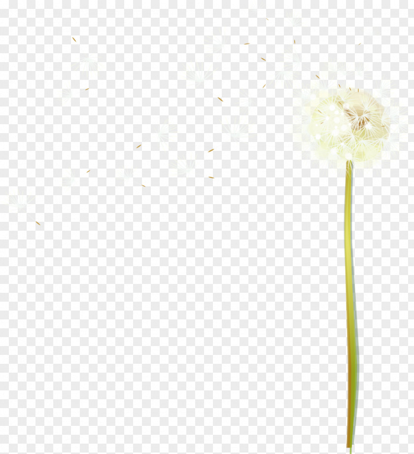 Hand Painted Green Dandelion Download Google Images Computer File PNG
