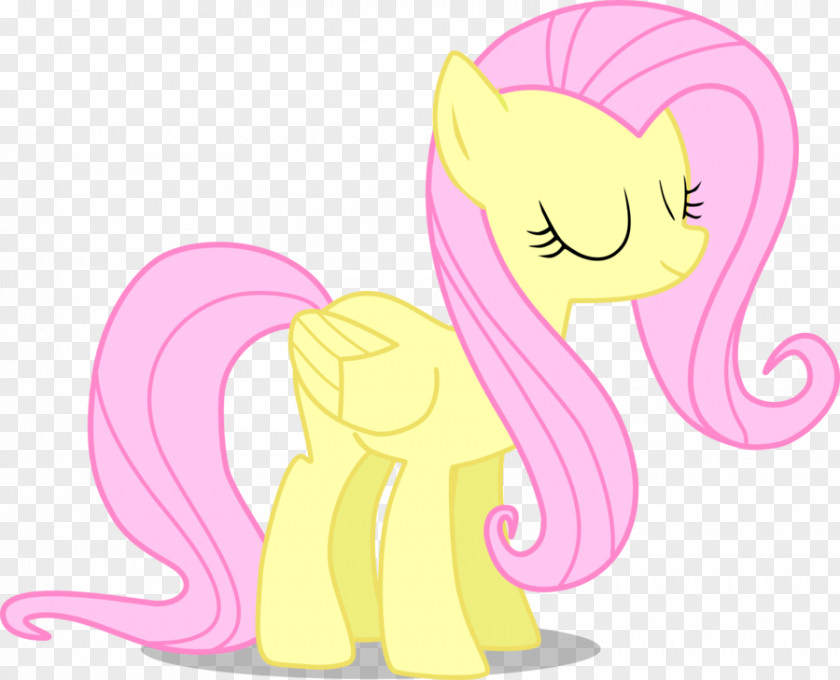 My Little Pony Fluttershy Pinkie Pie Rarity Twilight Sparkle Applejack PNG