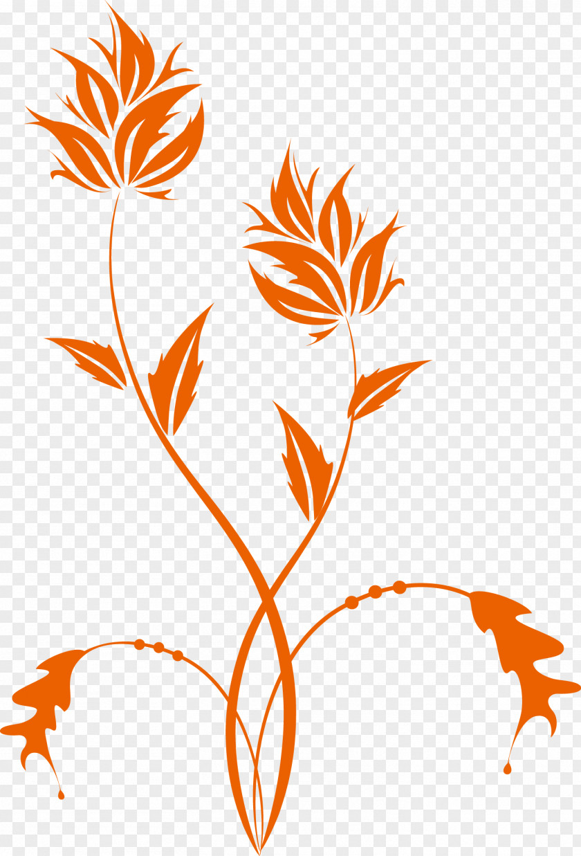 Plant Floral Design Branch Leaf Petal Pattern PNG