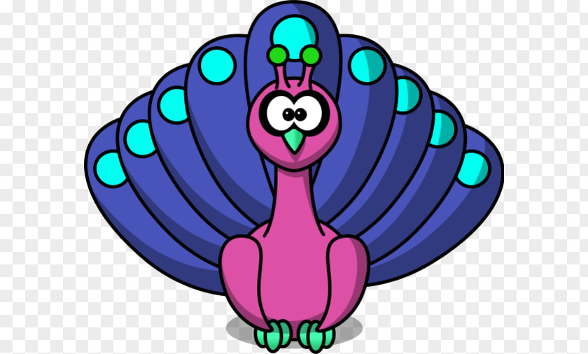 Vector Peacock Bird Drawing Clip Art PNG