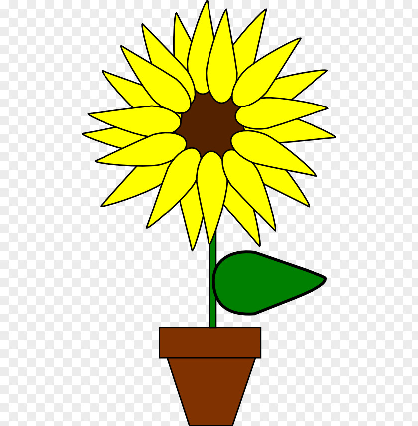 Cartoon Sunflower Common Plant Clip Art PNG