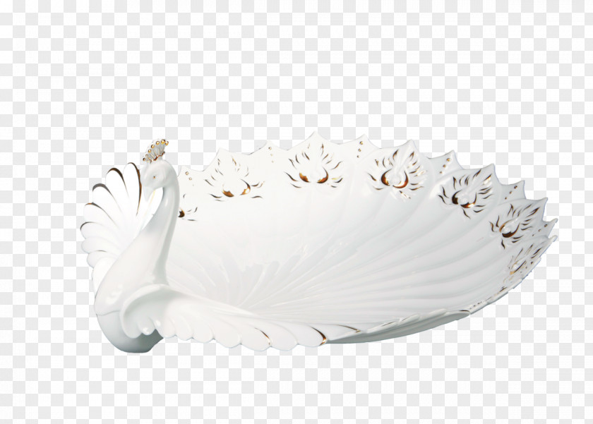 Feather Tableware PNG