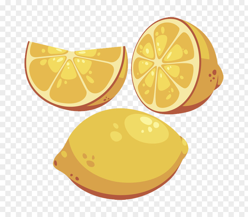 Hand-painted Lemon Citron Drawing Illustration PNG