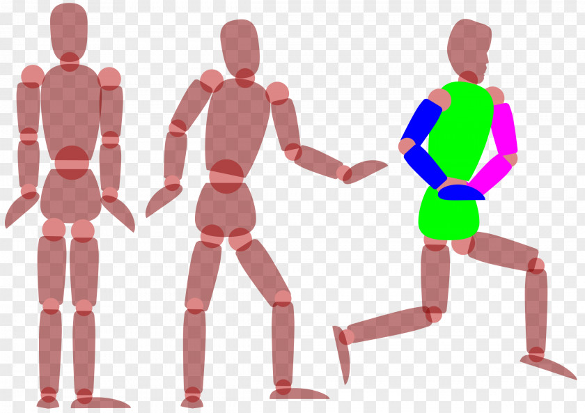 Homo Sapiens Clip Art PNG