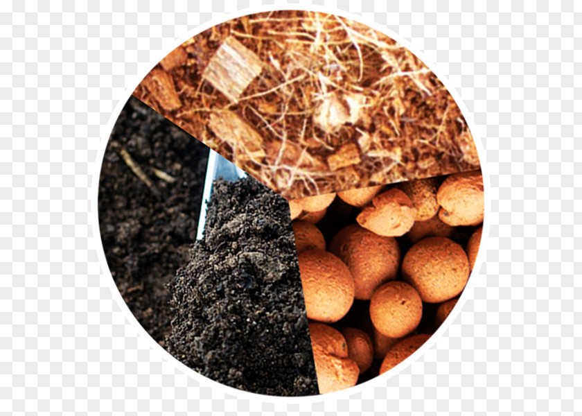 Hydroponic Lebkuchen Soil Garden PNG