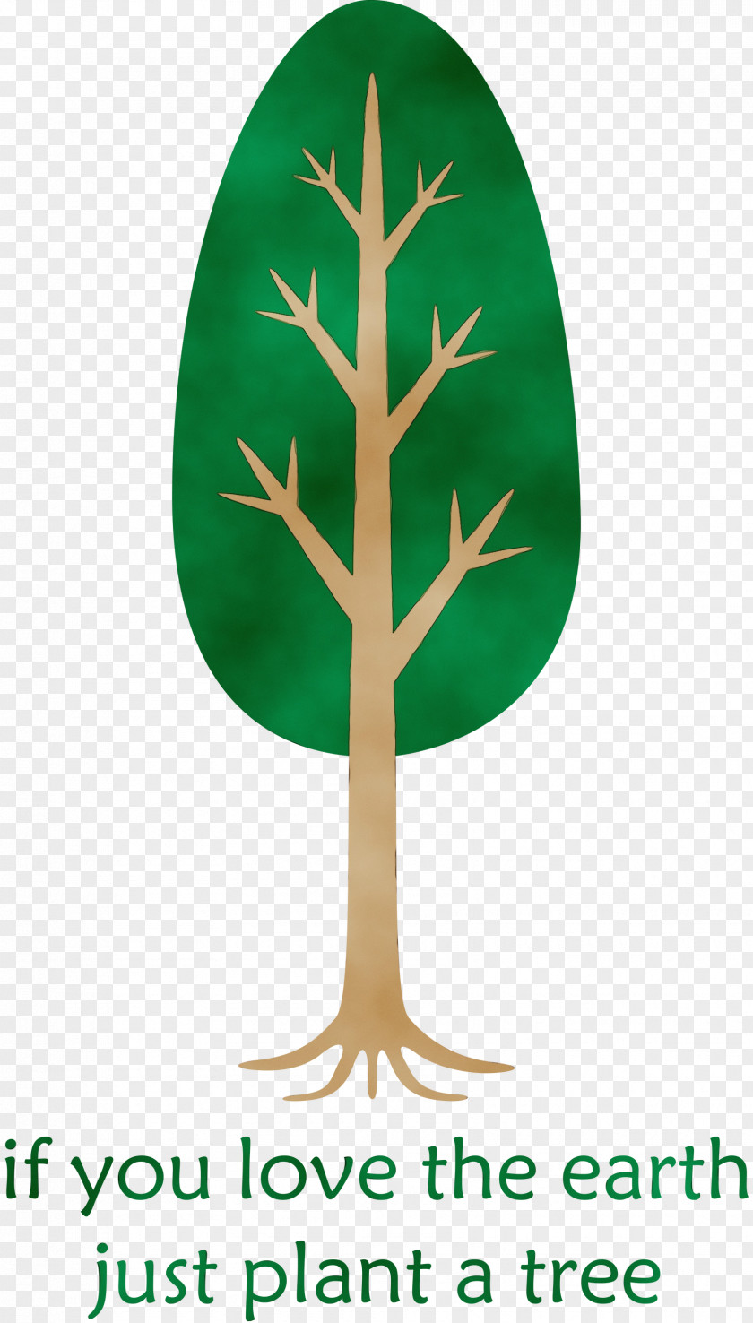 Leaf Font Tree Meter Biology PNG