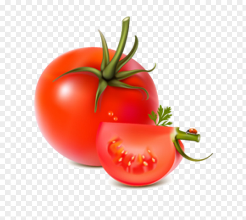 Tomato Chili Con Carne Piquillo Pepper Bell PNG