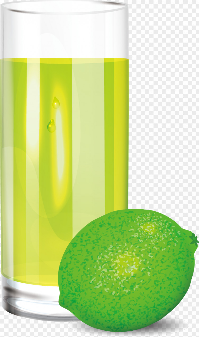 Vector Lemon Juice Limonana Liqueur Drink PNG