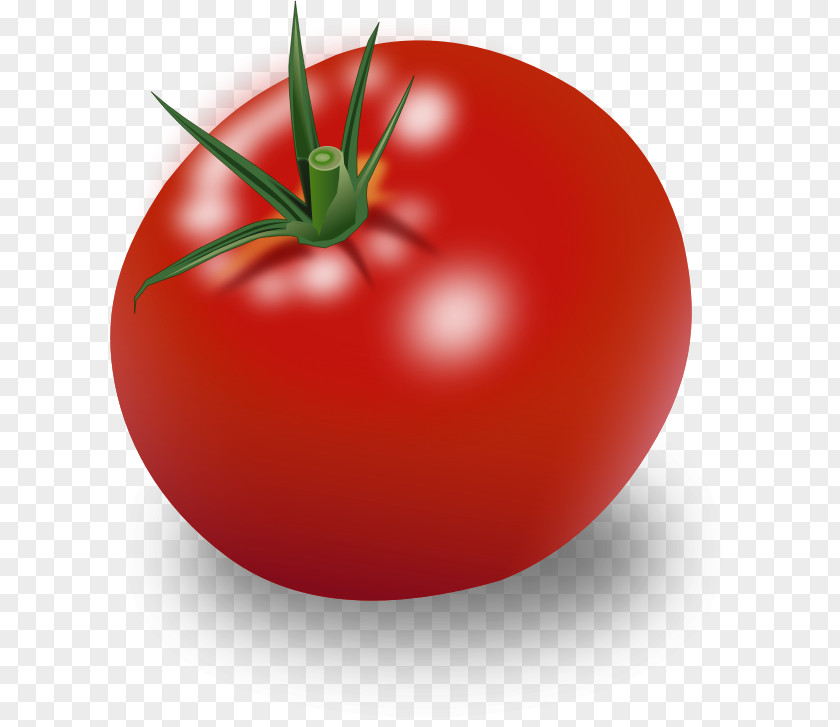 Vegetable Hamburger Cherry Tomato Ripening Clip Art PNG