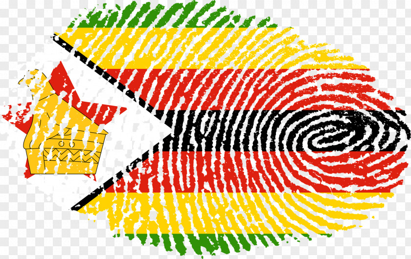 Zimbabwe African National Union Freiburg Im Breisgau Crashkurs Arbeitsrecht Immigration Human Migration PNG