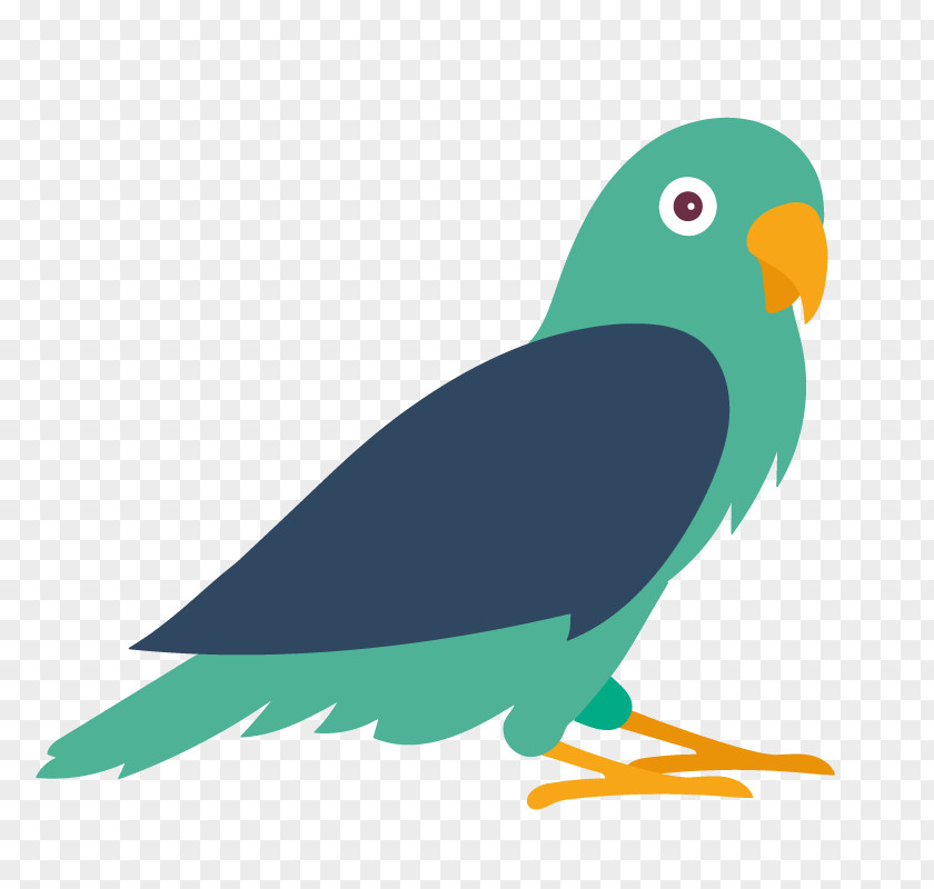 Budgerigar Lovebird Parrot Macaw PNG