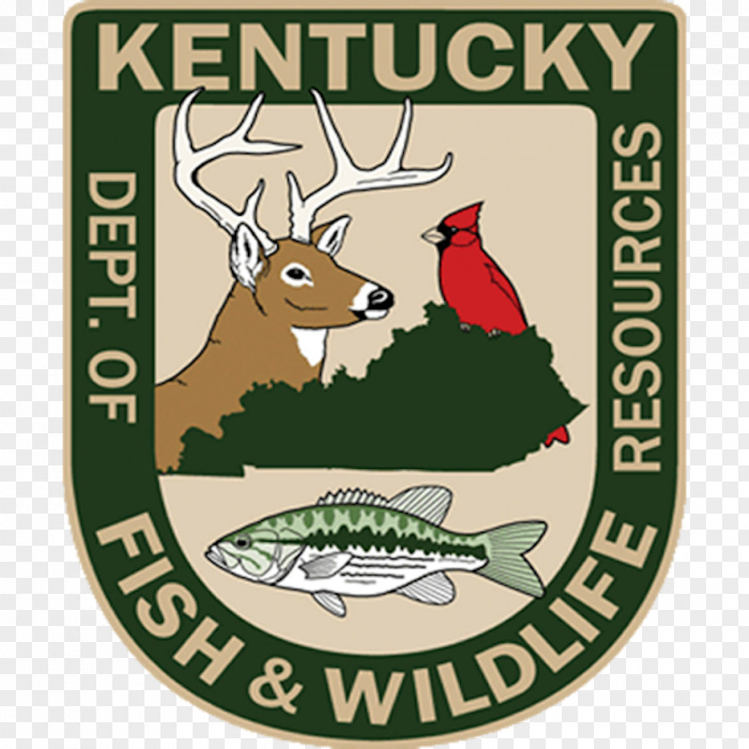 Fishing Frankfort Kentucky Department Of Fish And Wildlife Resources Hunting Boating PNG