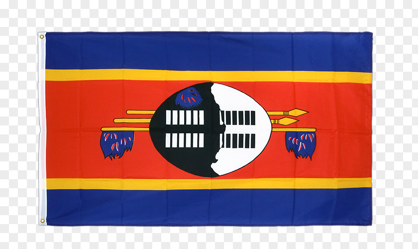 Flag Of Eswatini Curriculum Vitae Swaziland PNG