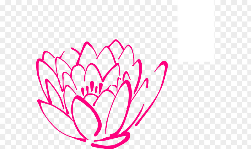 Pink Lotus Nelumbo Nucifera Egyptian Clip Art PNG