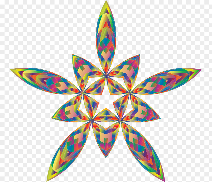 Flower Art Symmetry Line Pattern PNG