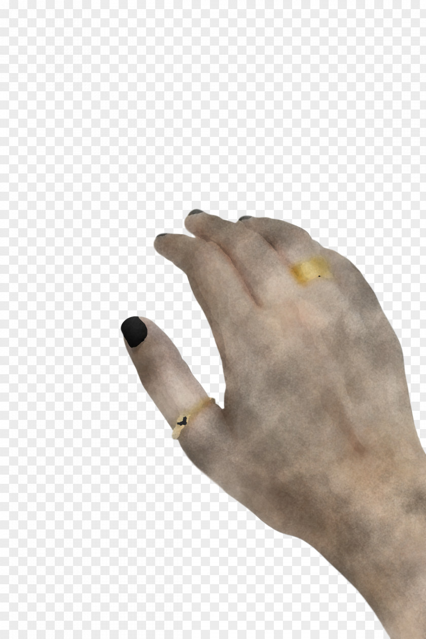 Hand Model Close-up H&m PNG