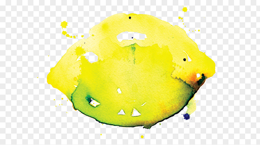Hand-painted Lemon Juice Aloysia Citrodora PNG