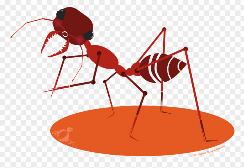 Pictures Of Ants For Kids The Atom Ant Insect Clip Art PNG