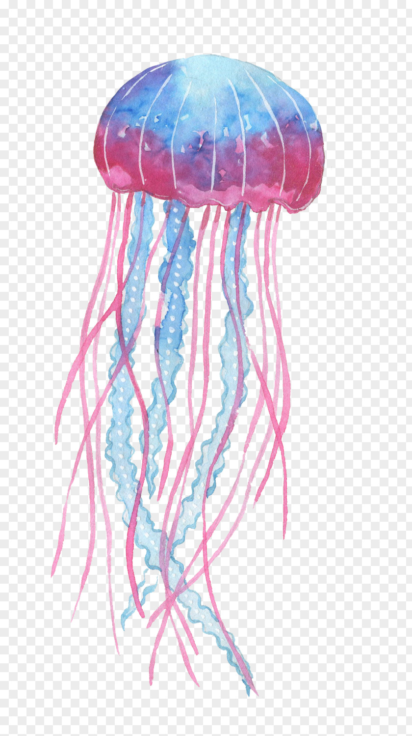 Pink Cartoon Box Jellyfish Invertebrate Deep Sea Creature PNG