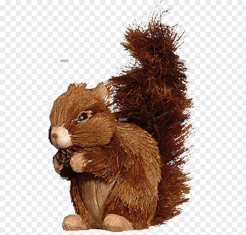Squirrel Red Rodent Tree Animal PNG