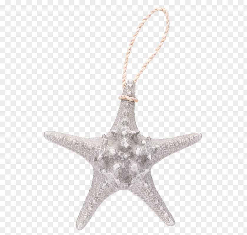 Starfish Gold Noppe Jewellery Snake PNG