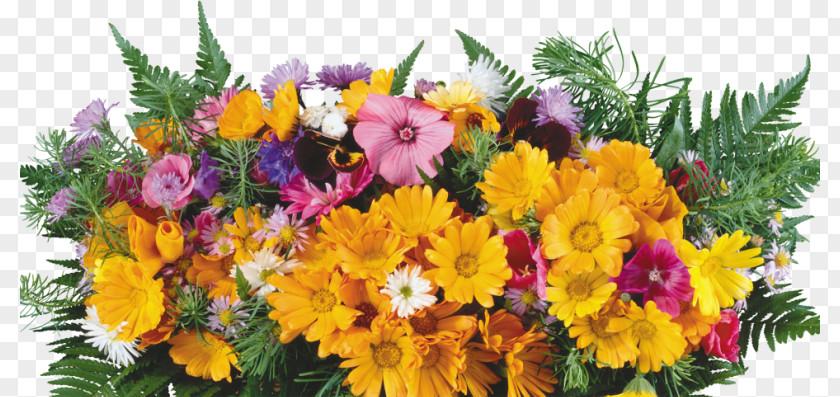 Celebration Flowers Flower Label Chrysanthemum Floristry Plant PNG