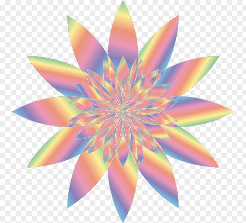 Flower Wallpaper Desktop Petal Clip Art PNG