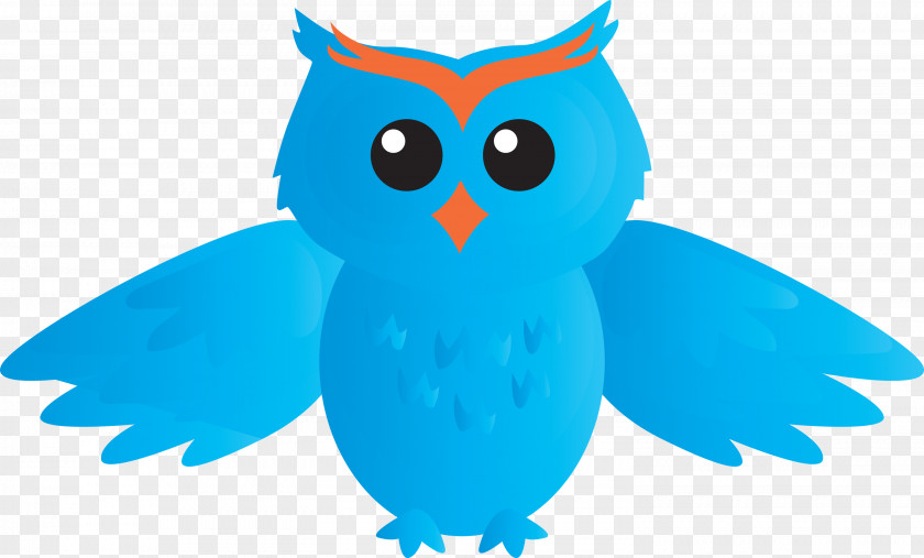 Owl Bird Blue Turquoise Cartoon PNG