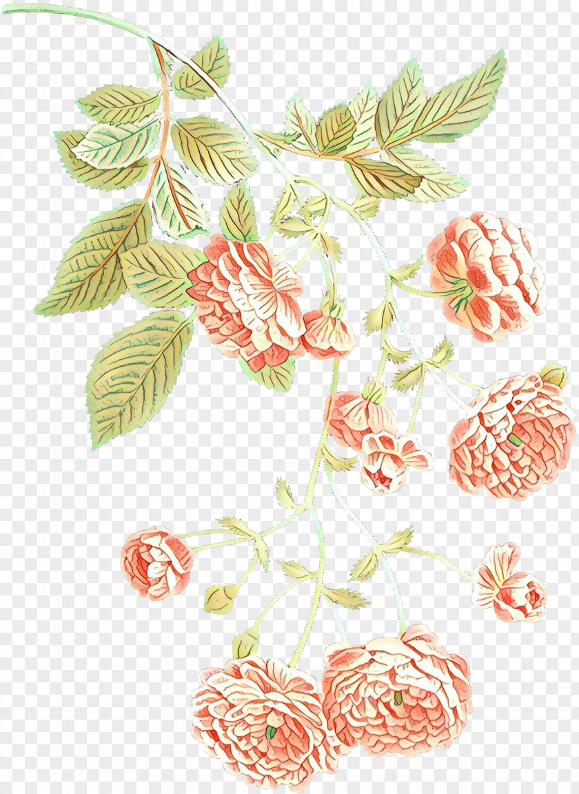 Plant Flower Flowers Background PNG