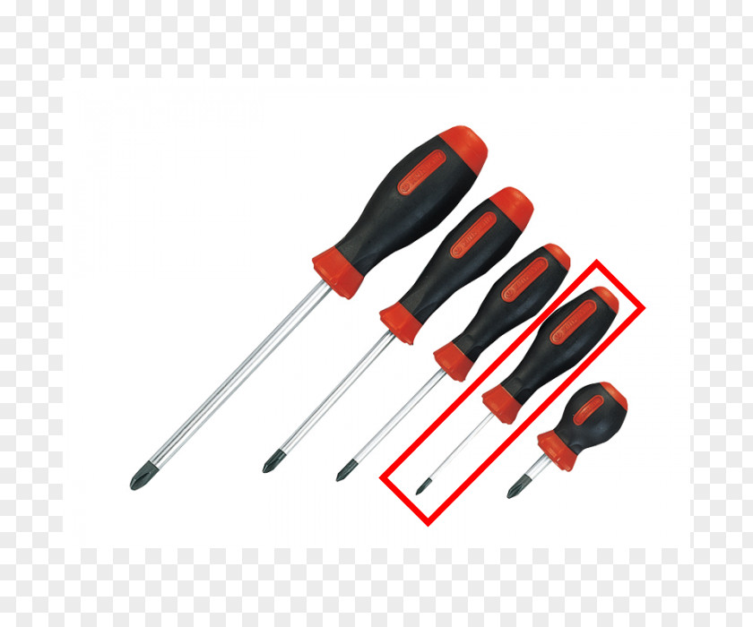 Screwdriver Tool Torx Phillips Bit PNG