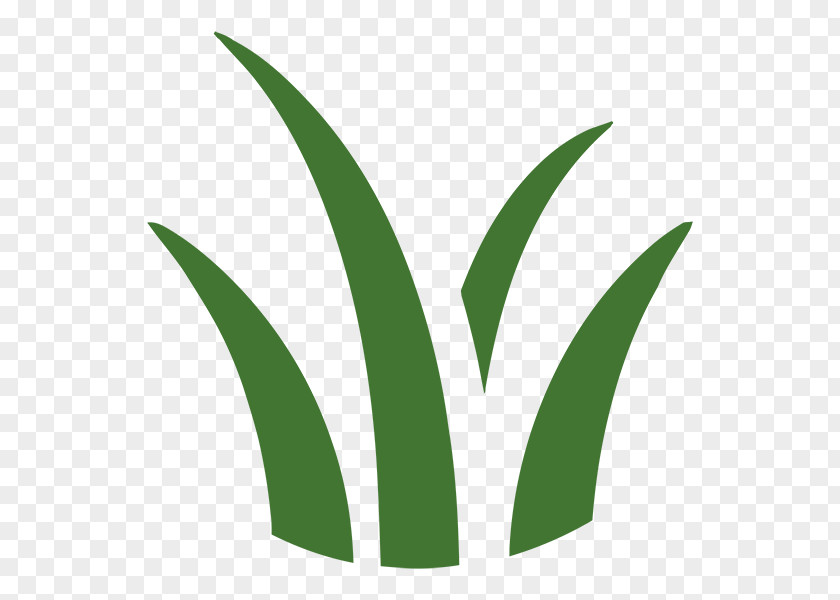 Yard Work Leaf Logo Grasses Plant Stem Font PNG