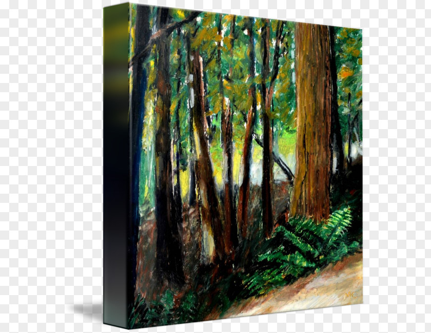 Painting Woodland Trail Canvas Print Drawing PNG