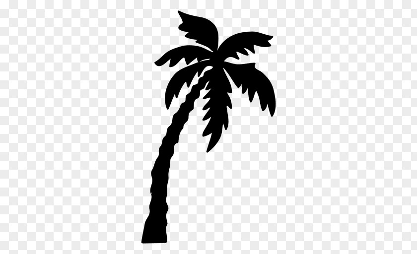 Palm Trees Vector Graphics Silhouette Drawing Illustration PNG