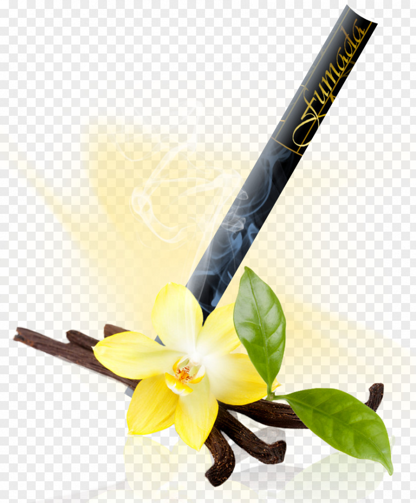 Vanilla Orchids Food Stock Photography PNG