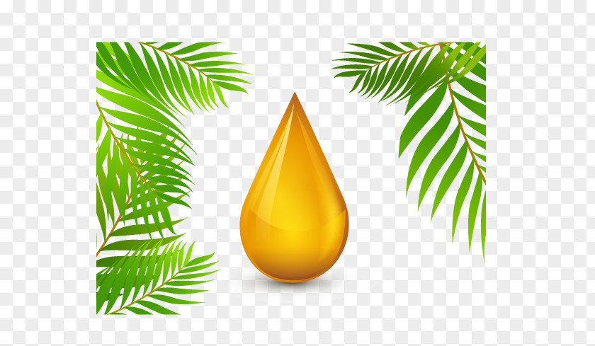 Vector Golden Droplets Roundtable On Sustainable Palm Oil Olive PNG