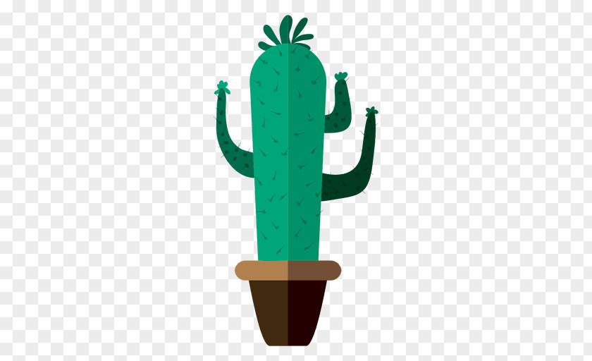 Cactus Cactaceae Drawing PNG