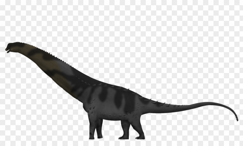 Dinosaur Alamosaurus Hell Creek Formation Spinosaurus Argentinosaurus Sauroposeidon PNG