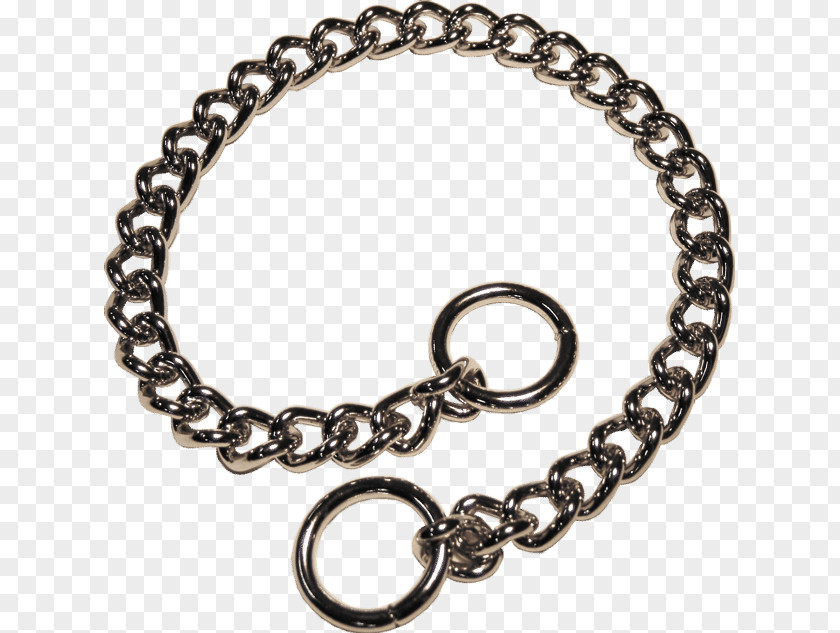 Dog Bracelet Chain Necklace Anklet PNG