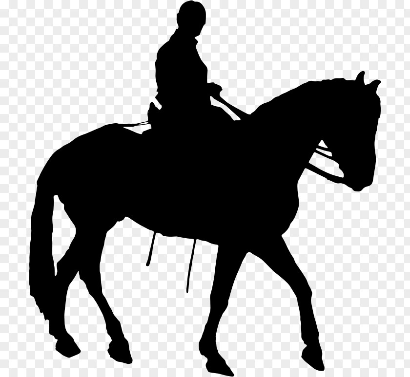 Horse Race Equestrian Silhouette Clip Art PNG