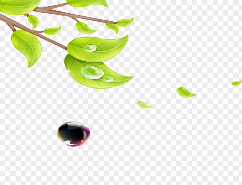 Water Droplets On The Leaves Falling Icon PNG