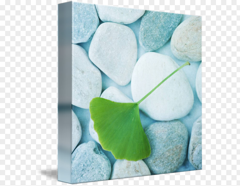 Gemstone Petal Turquoise Photographic Printing Imagekind PNG