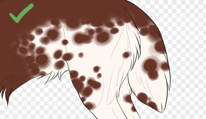 Giraffe Texture Piebald Horse Markings PNG