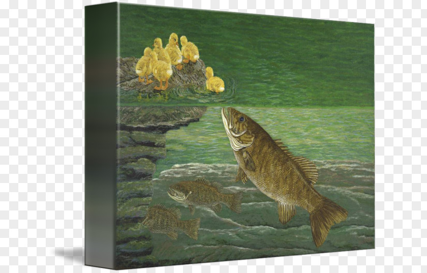 Painting Smallmouth Bass Fishing PNG