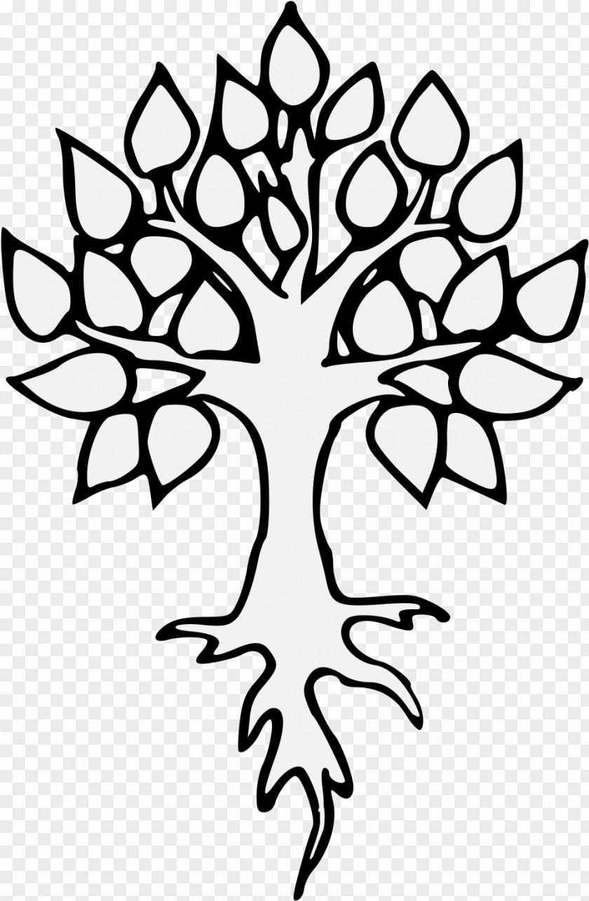 Symmetry Stencil Oak Tree Drawing PNG