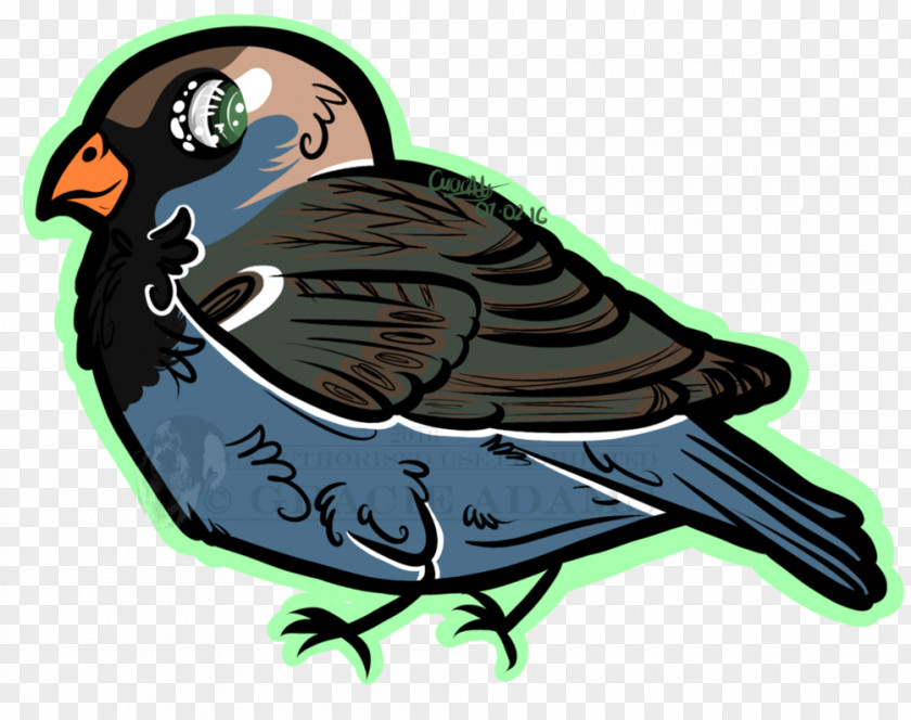Feather Beak Clip Art PNG