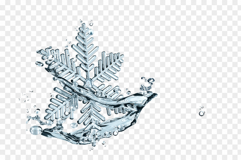 Ice Snowflake PNG