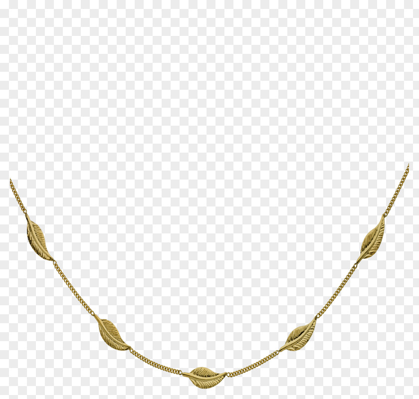 Necklace Bijou Jewellery Chain Gold PNG