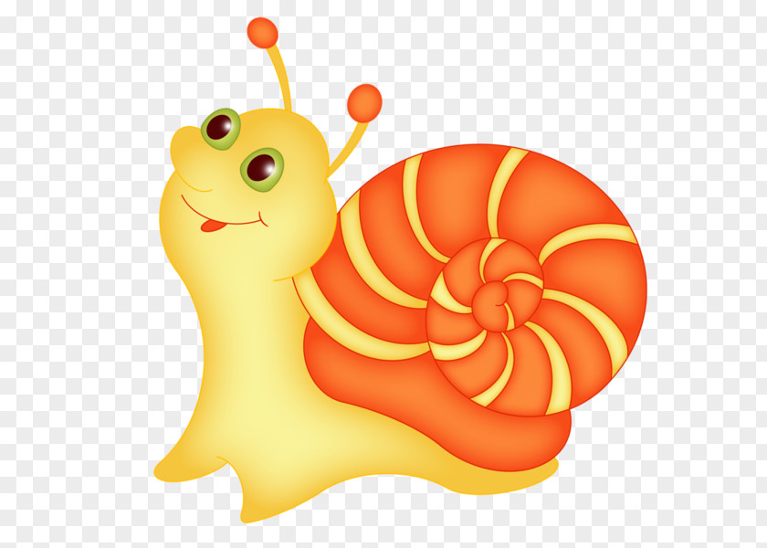 Snail Drawing Cartoon Clip Art PNG