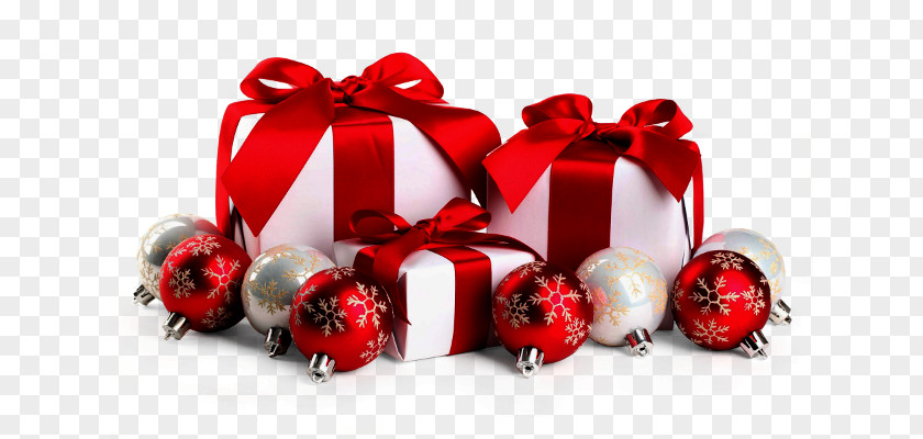 Christmas Gift Holiday Rectoria De Salitja PNG