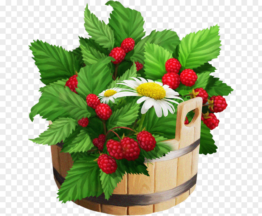 Hand-painted Raspberry Strawberry Frutti Di Bosco Fruit PNG